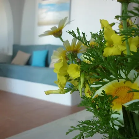 Aelia Santorini